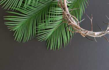 Celebracja Niedzieli Palmowej w krośnieńskiej farze